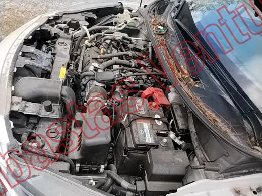NISSAN VERSA 2024, foto 9 de 19