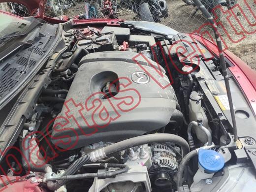 MAZDA MAZDA 2 2023, foto 11 de 19