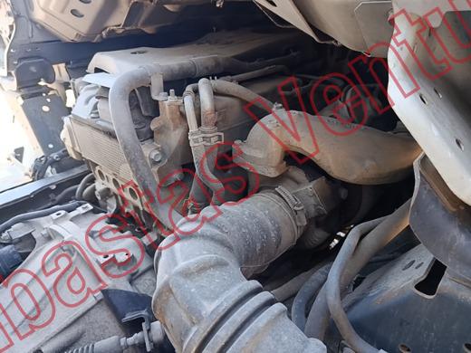 ISUZU ELF  2020, foto 11 de 19
