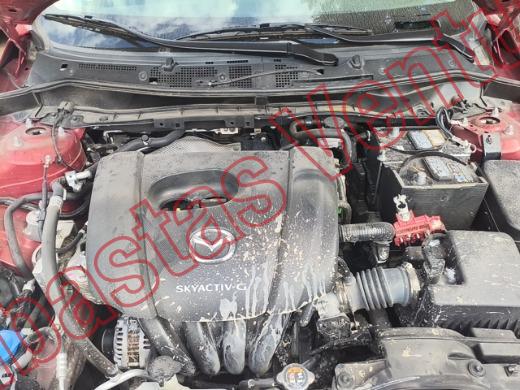 MAZDA MAZDA 2 2023, foto 10 de 19