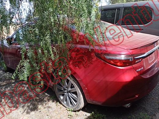 MAZDA MAZDA 6 2020, foto 7 de 19