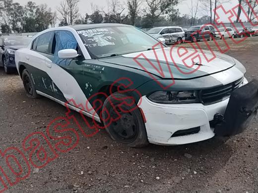DODGE CHARGER 2019, foto 3 de 19