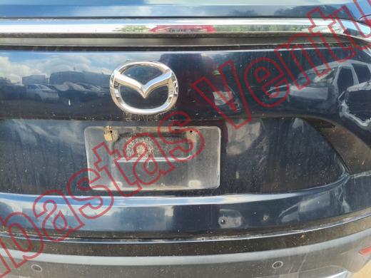MAZDA CX9 2020, foto 19 de 19