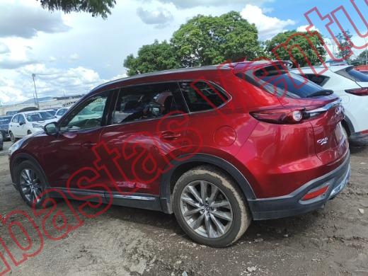 MAZDA CX9 2019, foto 8 de 19