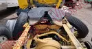 FREIGHTLINDER NEW CASE EUROV 2021, foto 15 de 19