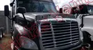 FREIGHTLINDER CASCADIA 2015, foto 3 de 19