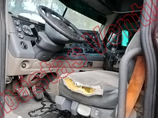 FREIGHTLINDER CASCADIA 2015, foto 17 de 19
