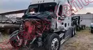 FREIGHTLINDER CASCADIA 2016, foto 1 de 19