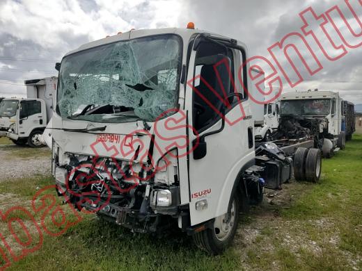 ISUZU ELF 600 2026, foto 1 de 19