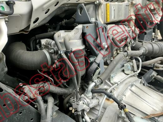 ISUZU ELF 600 2026, foto 9 de 19
