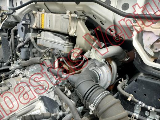 ISUZU ELF 600 2026, foto 11 de 19