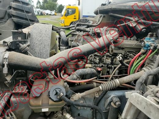 FREIGHTLINDER M2 2011, foto 9 de 19