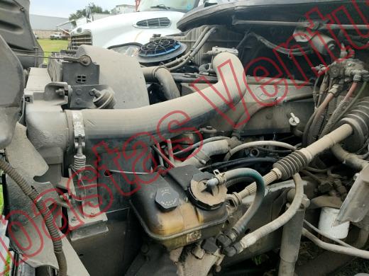 FREIGHTLINDER M2 35K 2009, foto 10 de 19