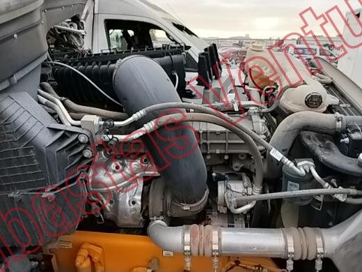 FREIGHTLINDER NEW CASE EUROV 2025, foto 11 de 19