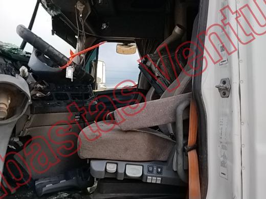 FREIGHTLINDER CASCADIA 2016, foto 16 de 19