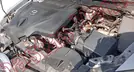 MAZDA CX7 2009, foto 9 de 19