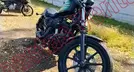 HARLEY DAVIDSON XL 1200 2021, foto 3 de 19