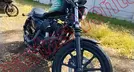 HARLEY DAVIDSON XL 1200 2021, foto 12 de 19