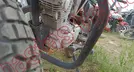 ITALIKA FL 125 2023, foto 10 de 19