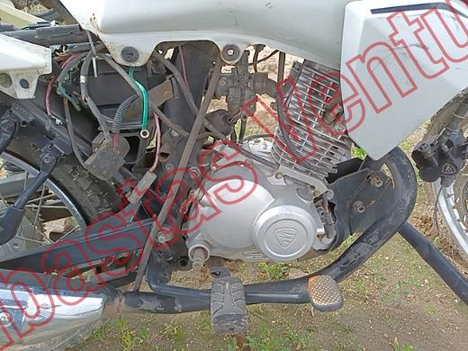 ITALIKA FL 125 2023, foto 11 de 19
