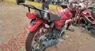 ITALIKA FT125 2024, foto 5 de 19