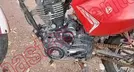 ITALIKA FT125 2024, foto 9 de 19