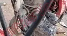 ITALIKA FT125 2024, foto 10 de 19