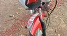 ITALIKA FT125 2024, foto 18 de 19