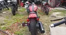 INDIAN SCOUT 2025, foto 6 de 19