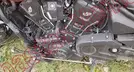 INDIAN SCOUT 2025, foto 9 de 19
