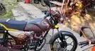 VENTO XPRESS 2026, foto 12 de 19