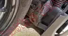 ITALIKA 250 Z 2024, foto 10 de 19