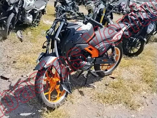 VENTO CYCLONE 2025, foto 1 de 19