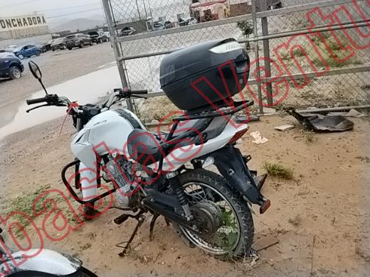 ITALIKA FL 125 2025, foto 8 de 19