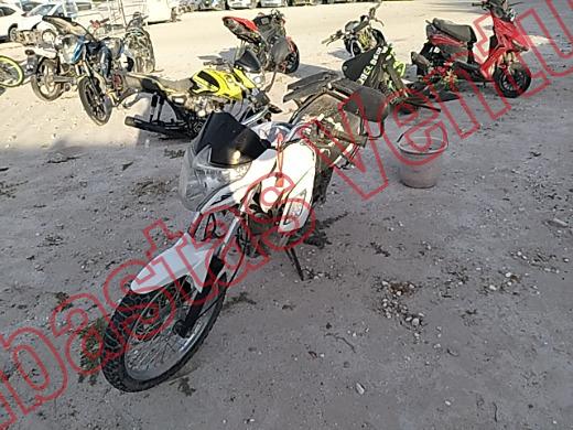 ITALIKA FL 125 2023, foto 1 de 19