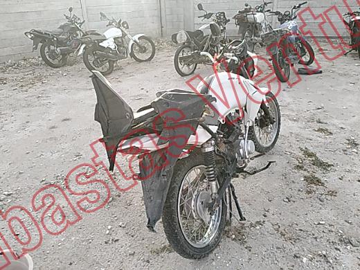 ITALIKA FL 125 2023, foto 5 de 19