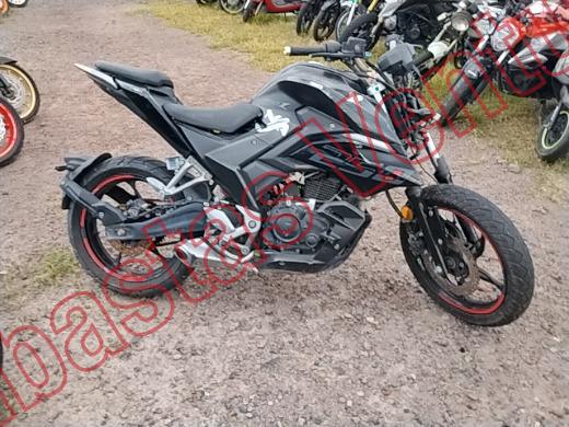ITALIKA 250 Z 2024, foto 4 de 19