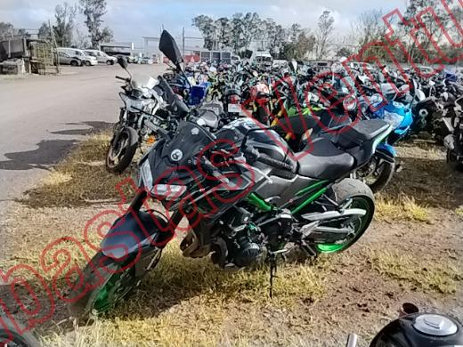 KAWASAKI Z900 2024, foto 1 de 19