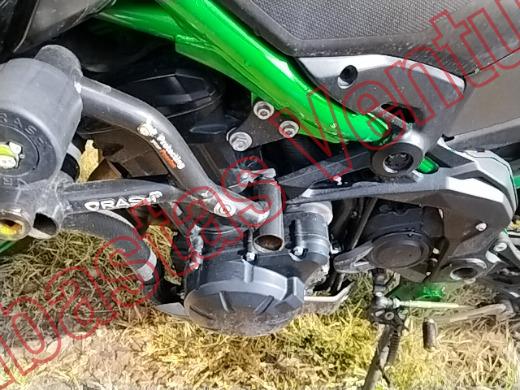 KAWASAKI Z900 2024, foto 9 de 19