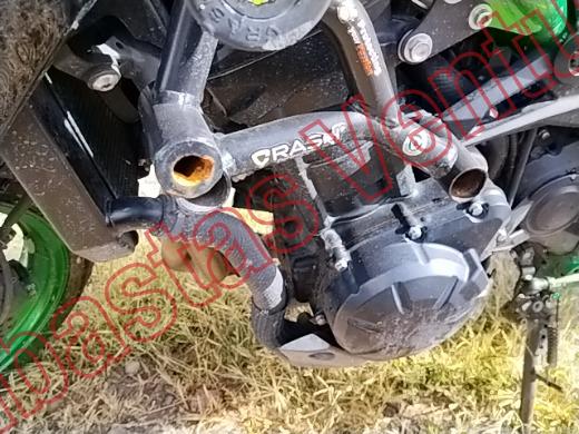 KAWASAKI Z900 2024, foto 10 de 19
