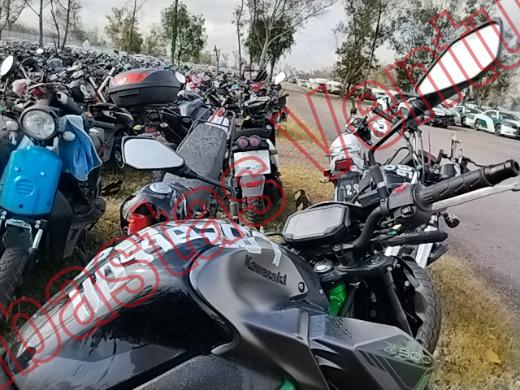KAWASAKI Z900 2024, foto 12 de 19