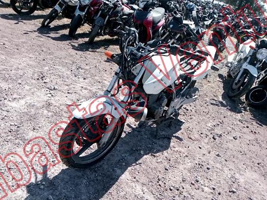 HONDA CBX 250 2008, foto 1 de 19
