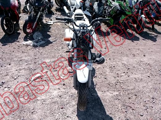 HONDA CBX 250 2008, foto 2 de 19