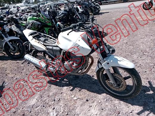 HONDA CBX 250 2008, foto 3 de 19