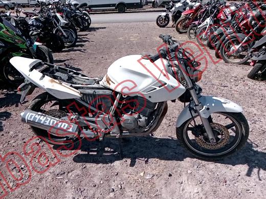 HONDA CBX 250 2008, foto 4 de 19