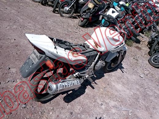 HONDA CBX 250 2008, foto 5 de 19