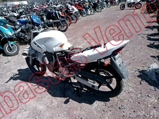 HONDA CBX 250 2008, foto 7 de 19