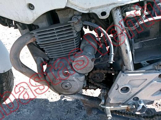 HONDA CBX 250 2008, foto 9 de 19