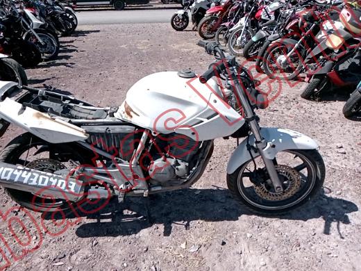 HONDA CBX 250 2008, foto 12 de 19