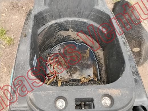 ITALIKA WS175 2025, foto 15 de 19